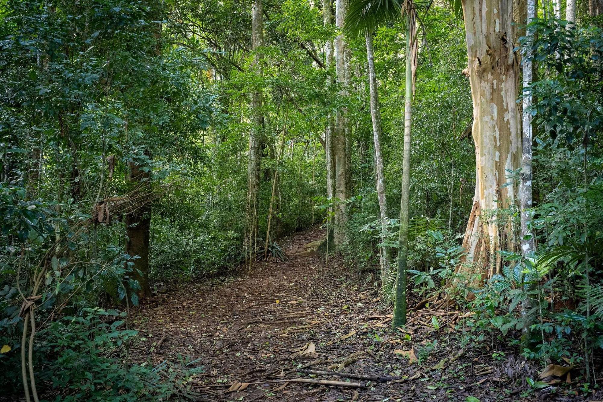 Studios De Luxo Granja Brasil Itaipava Petropolis  Bagian luar foto